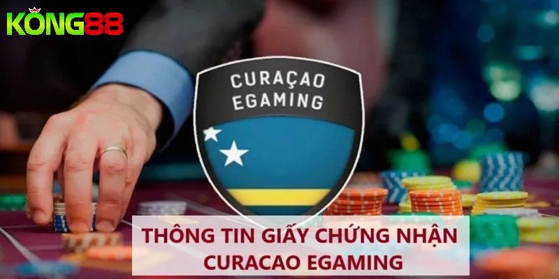 Giấy phép hoạt động được cấp bởi cơ quan uy tín Curacao eGaming